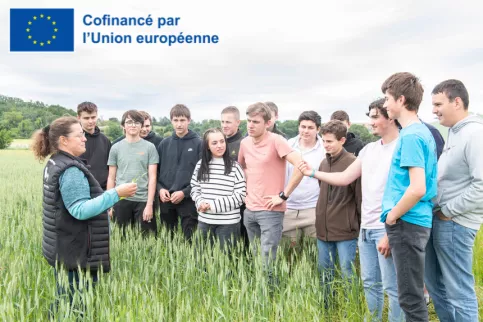 Groupe de jeunes avec leur professeure dans un champ de blé pendant le cours d'agronomie